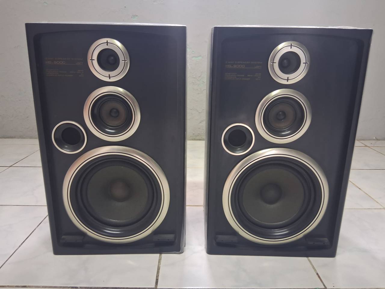Sony hs-9000 speaker system 