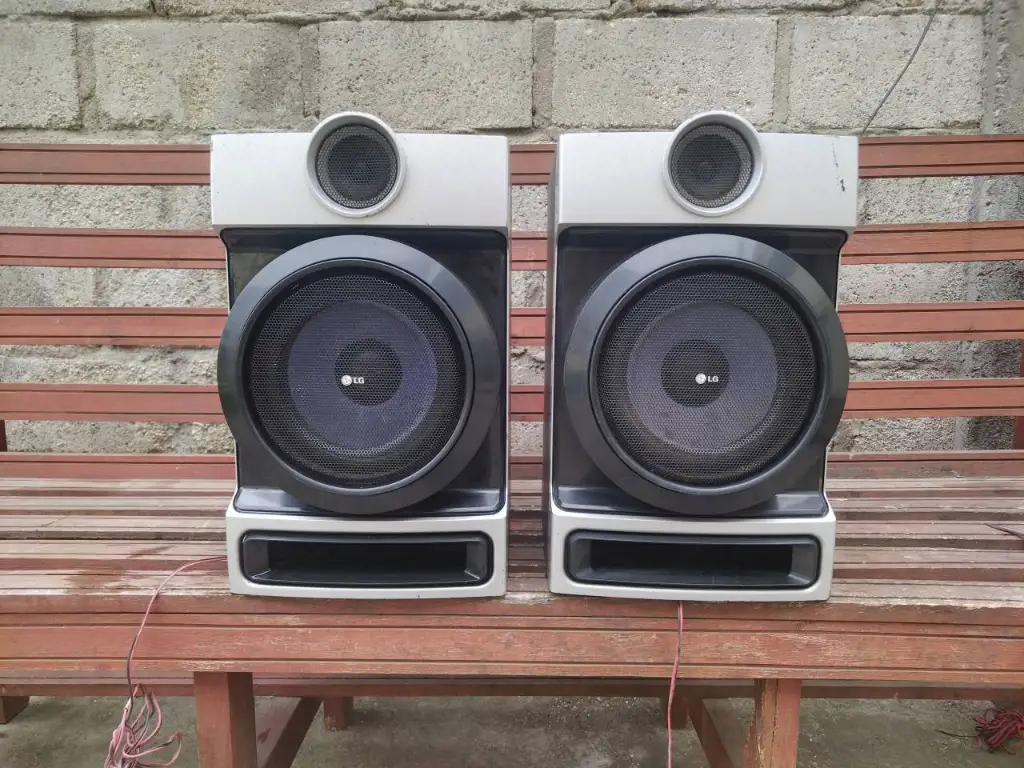Par De Parlantes Bafles LG Con Woofer 