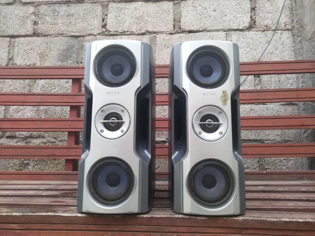 Par De Parlantes Bafles Sony Doble Woofer Y Salida Bass Reflex Lateral
